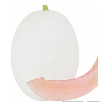 Pure White Skin Melon Seeds ME-0351 Pure White Skin Melon Seeds ME-0351