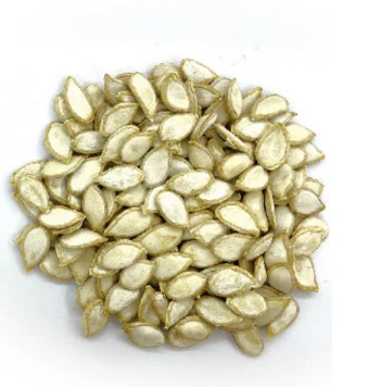 Sangat Tahan Terhadap Layu Fusarium Akut Cangkok Semangka WG-15