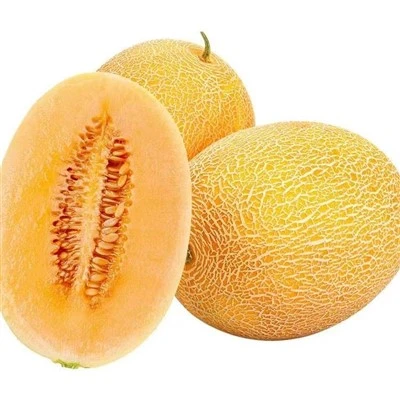Biji melon organik